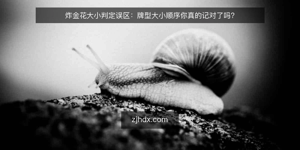 炸金花大小判定误区:牌型大小顺序你真的记对了吗? — 误区一:豹子一定大于同花顺?——先理清基本牌型顺序 配图